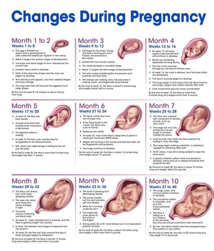 Unveiling The Truth: Kehlani's Pregnancy Journey Explored
